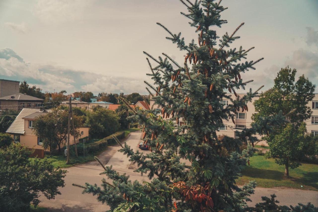 Hotell Paeaesuke Jõhvi Dış mekan fotoğraf